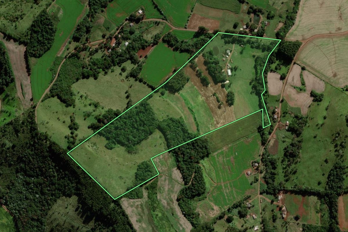 Imagem de satélite do imóvel rural em Verê (PR), com o contorno declarado no CAR desenhado por cima.