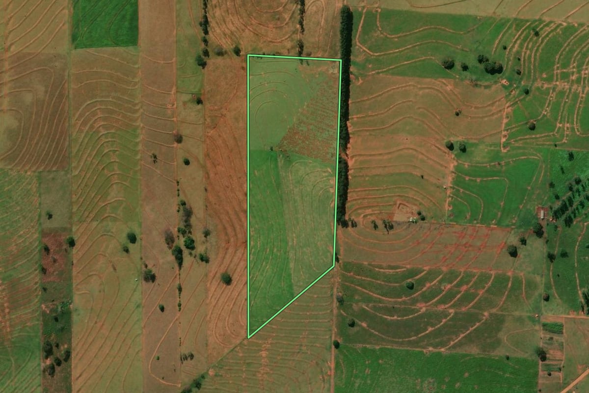 Imagem de satélite do imóvel rural em Alto Paraíso (PR), com o contorno declarado no CAR desenhado por cima.
