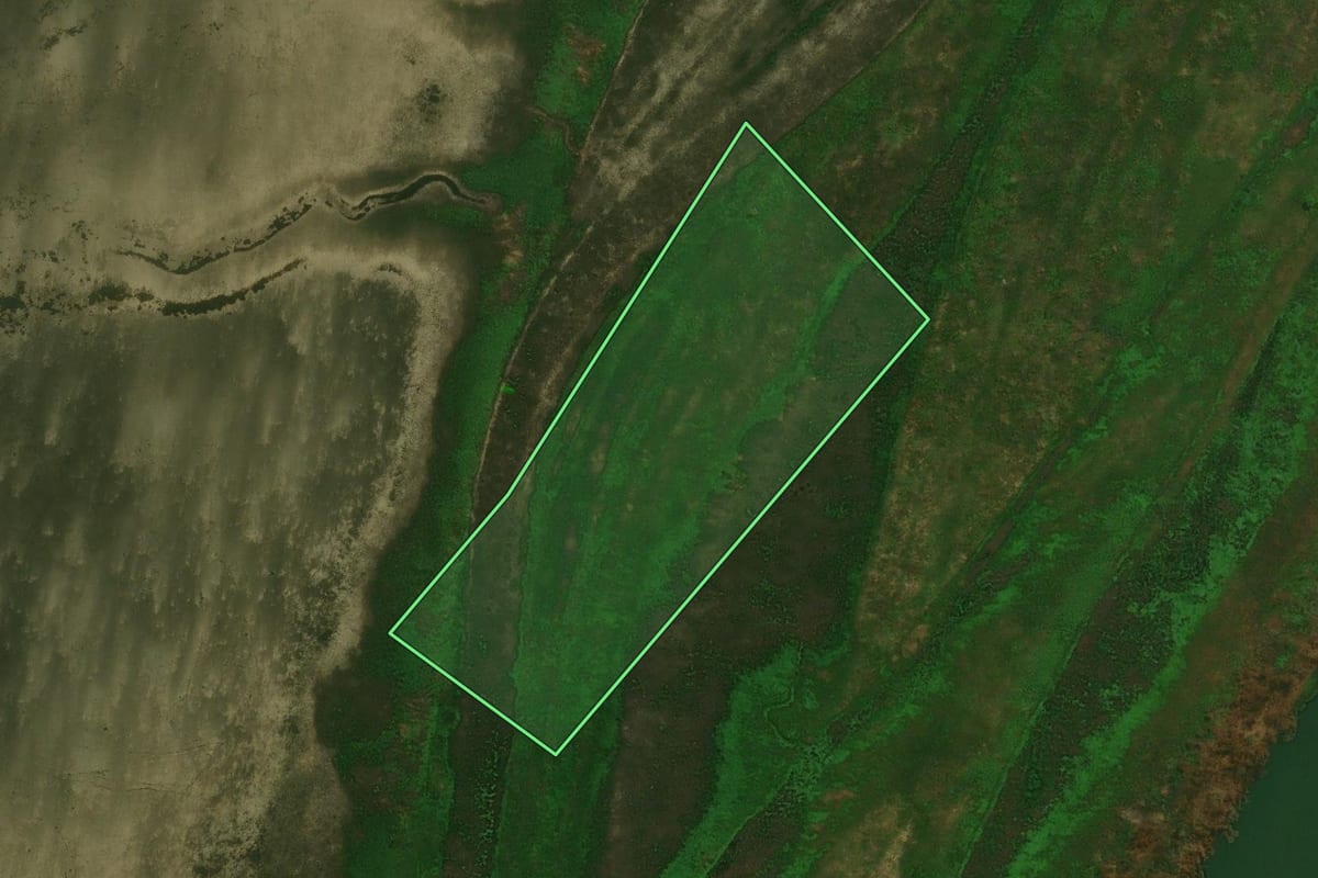 Imagem de satélite do imóvel rural em Alto Paraíso (PR), com o contorno declarado no CAR desenhado por cima.