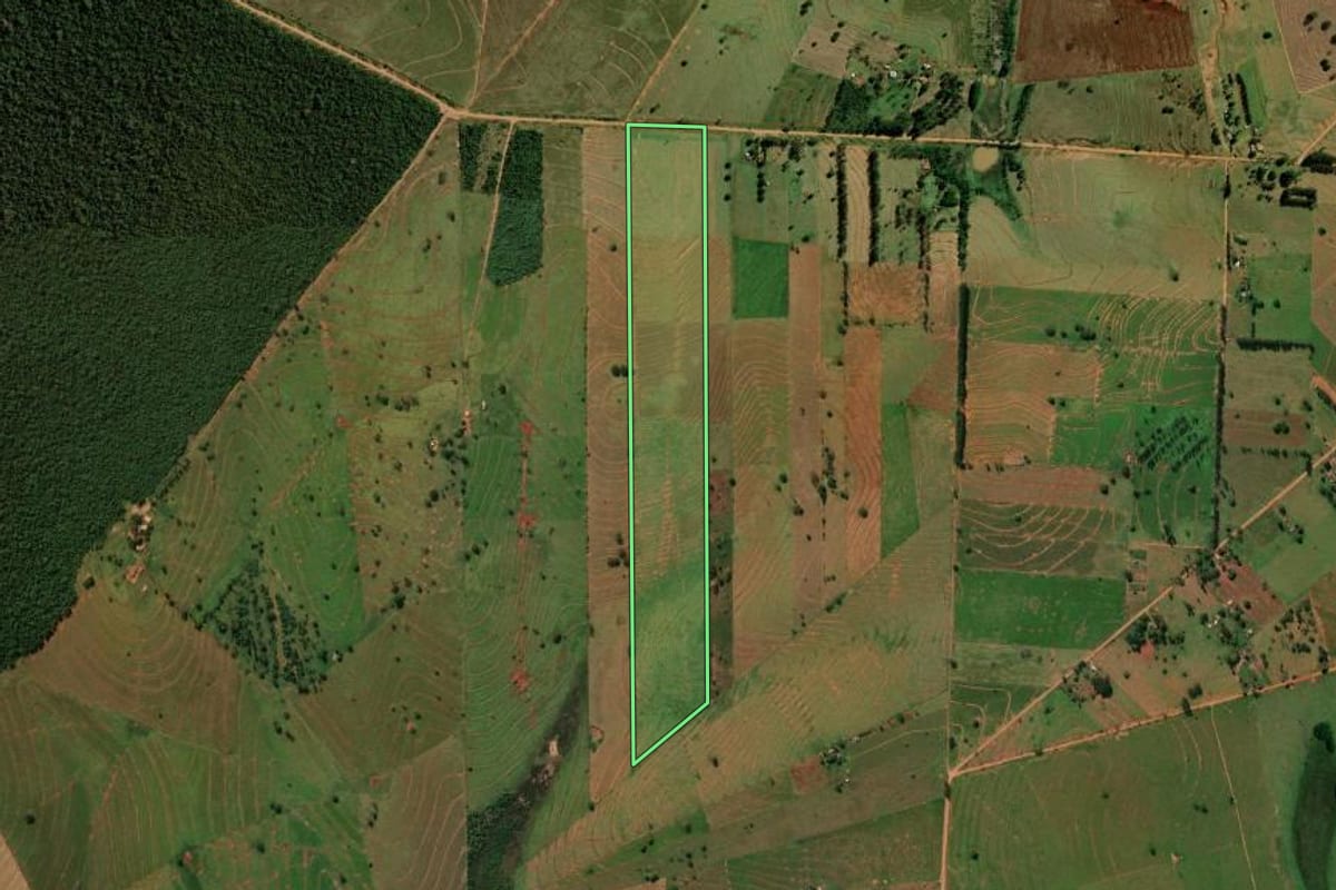 Imagem de satélite do imóvel rural em Alto Paraíso (PR), com o contorno declarado no CAR desenhado por cima.