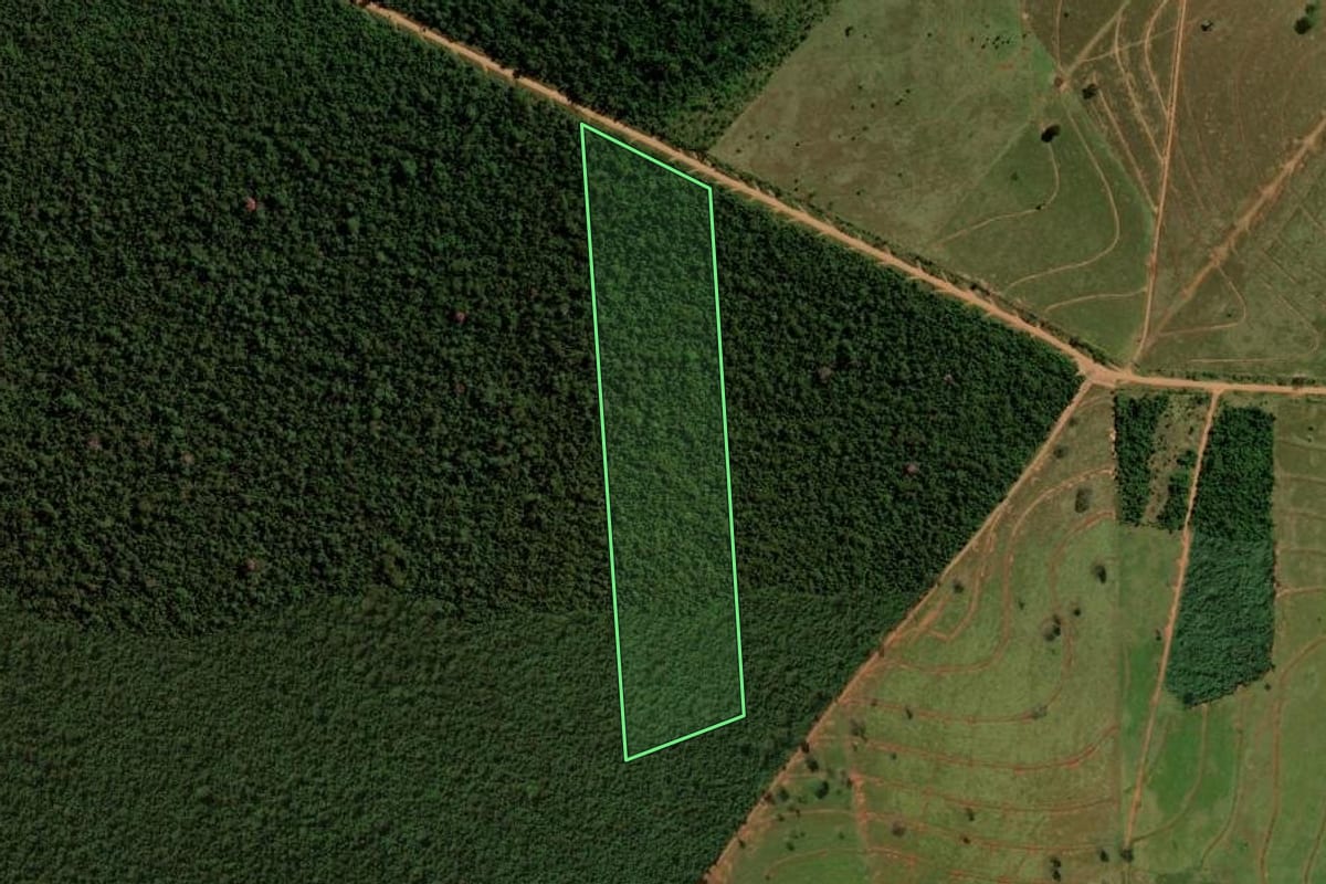 Imagem de satélite do imóvel rural em Alto Paraíso (PR), com o contorno declarado no CAR desenhado por cima.