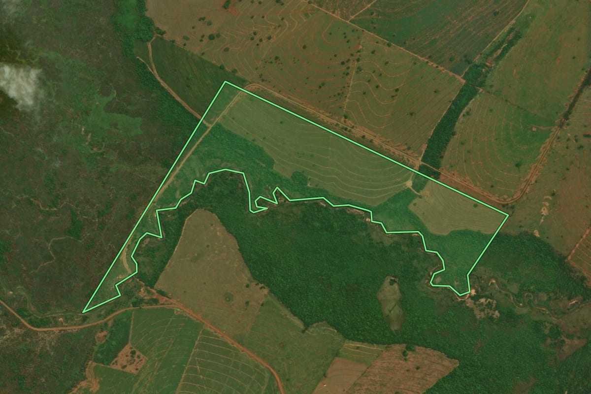 Imagem de satélite do imóvel rural em Alto Paraíso (PR), com o contorno declarado no CAR desenhado por cima.