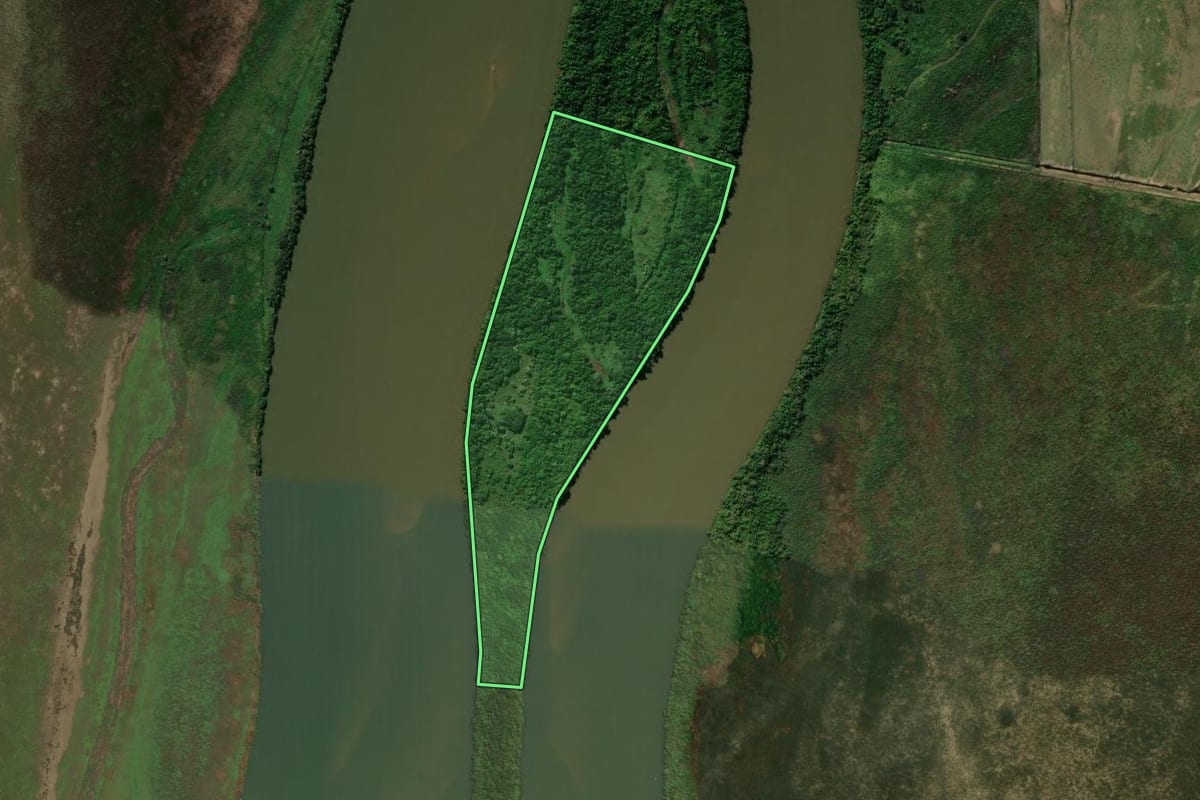 Imagem de satélite do imóvel rural em Alto Paraíso (PR), com o contorno declarado no CAR desenhado por cima.
