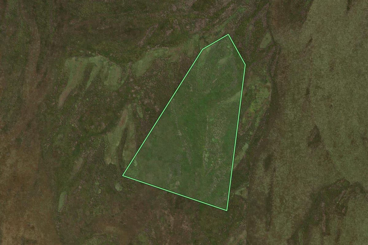 Imagem de satélite do imóvel rural em Alto Paraíso (PR), com o contorno declarado no CAR desenhado por cima.