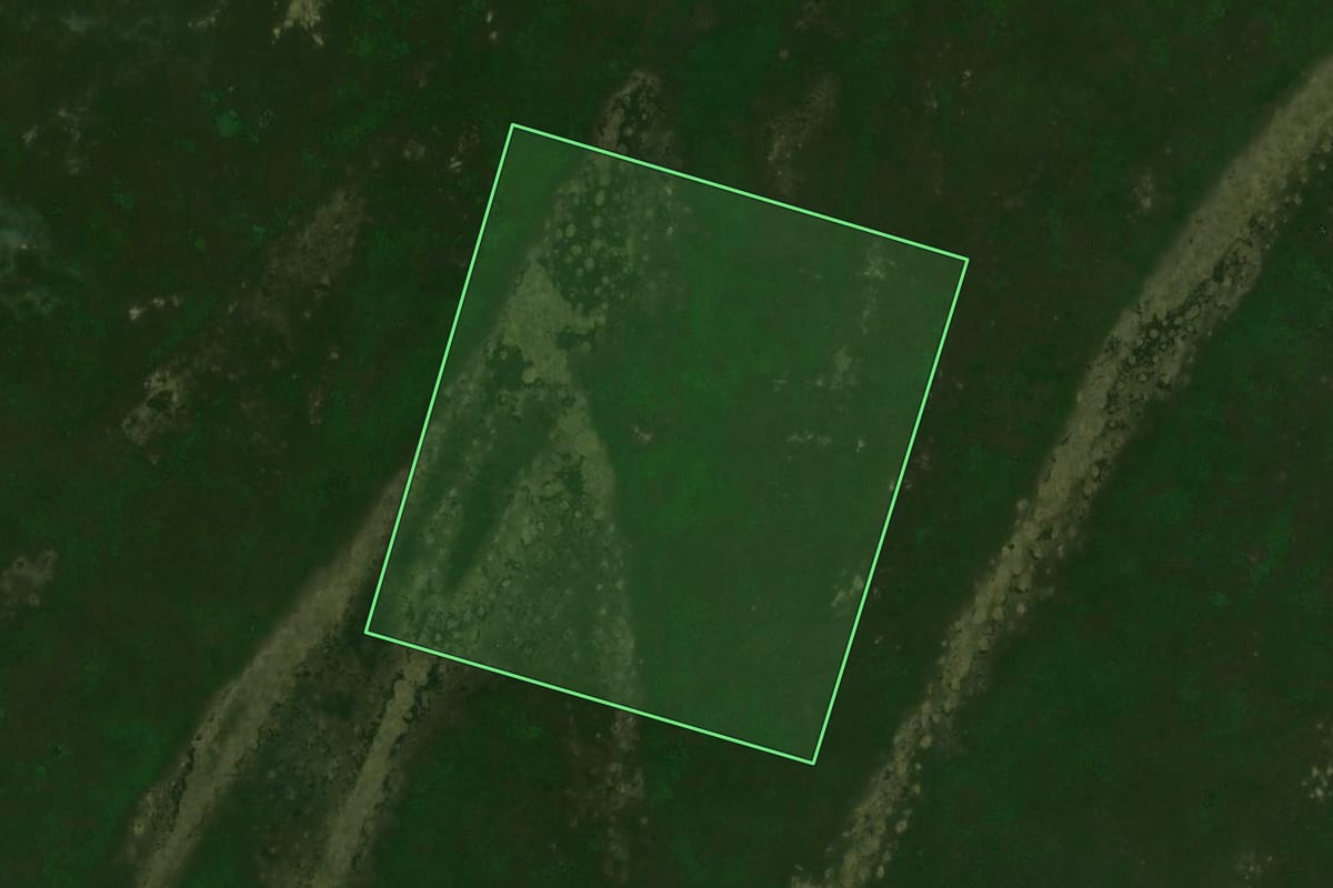 Imagem de satélite do imóvel rural em Alto Paraíso (PR), com o contorno declarado no CAR desenhado por cima.