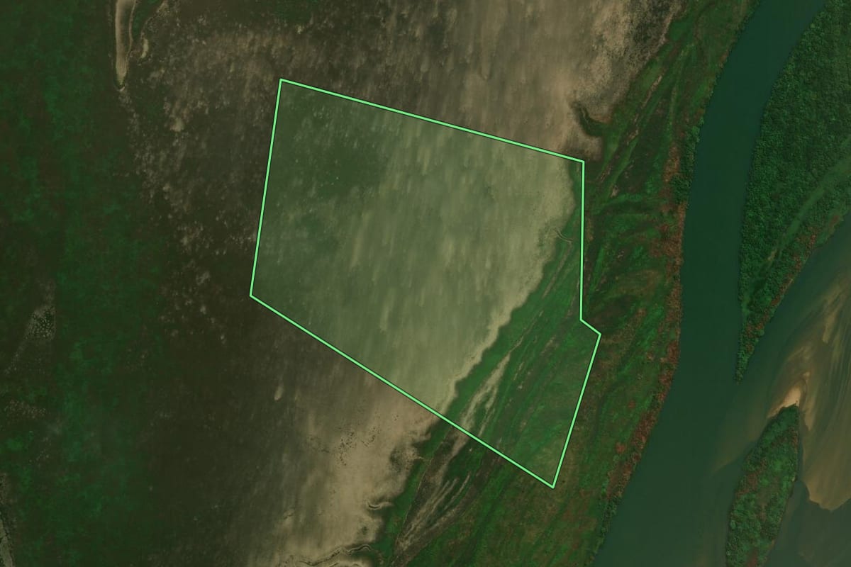 Imagem de satélite do imóvel rural em Alto Paraíso (PR), com o contorno declarado no CAR desenhado por cima.