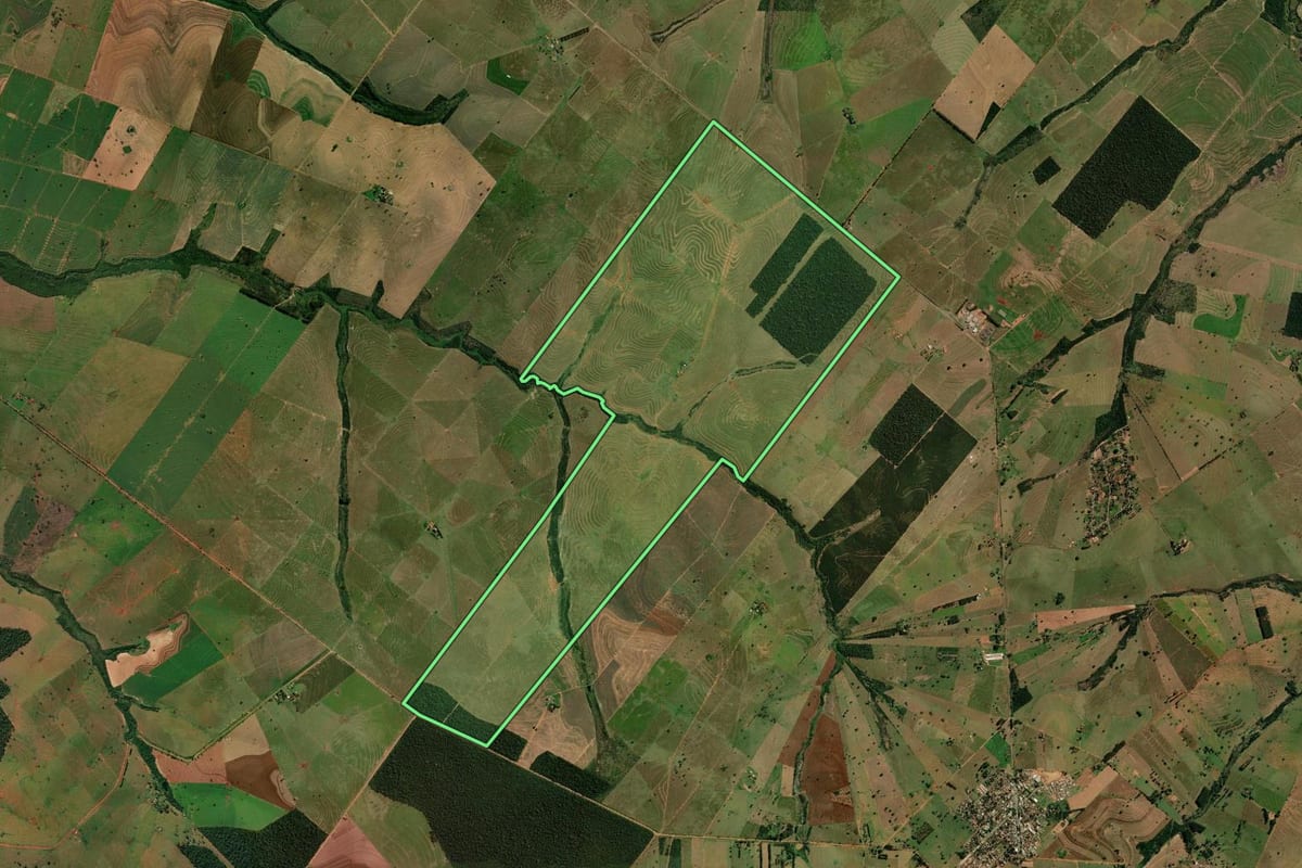 Imagem de satélite do imóvel rural em Alto Paraíso (PR), com o contorno declarado no CAR desenhado por cima.