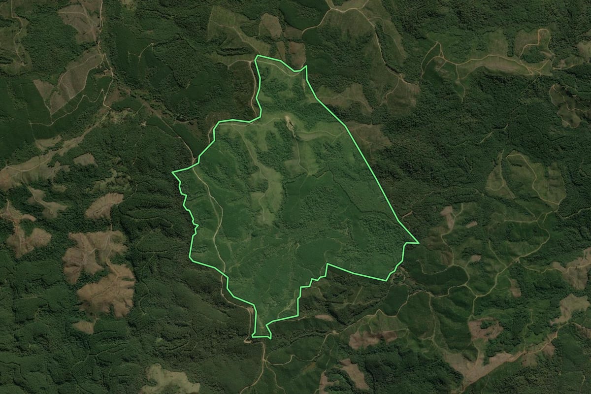 Imagem de satélite do imóvel rural em Doutor Ulysses (PR), com o contorno declarado no CAR desenhado por cima.