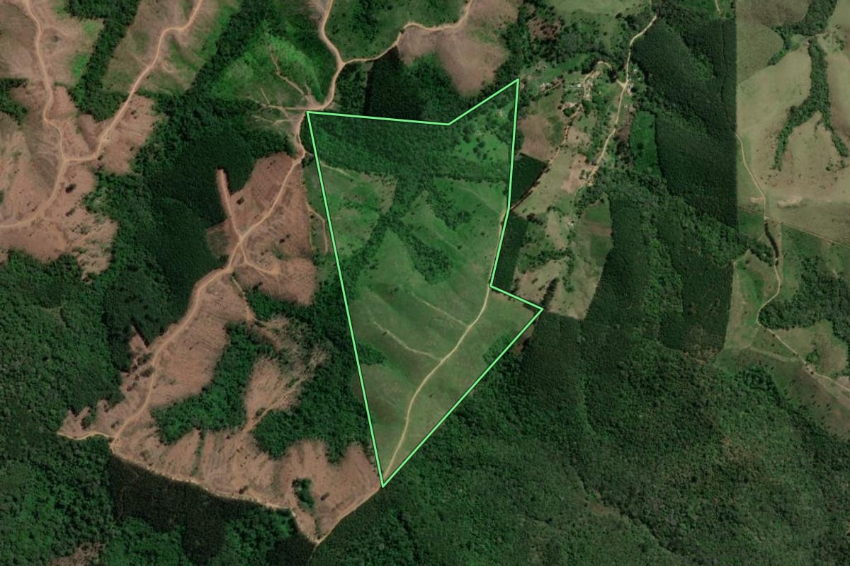 Imagem de satélite do imóvel rural em Doutor Ulysses (PR), com o contorno declarado no CAR desenhado por cima.