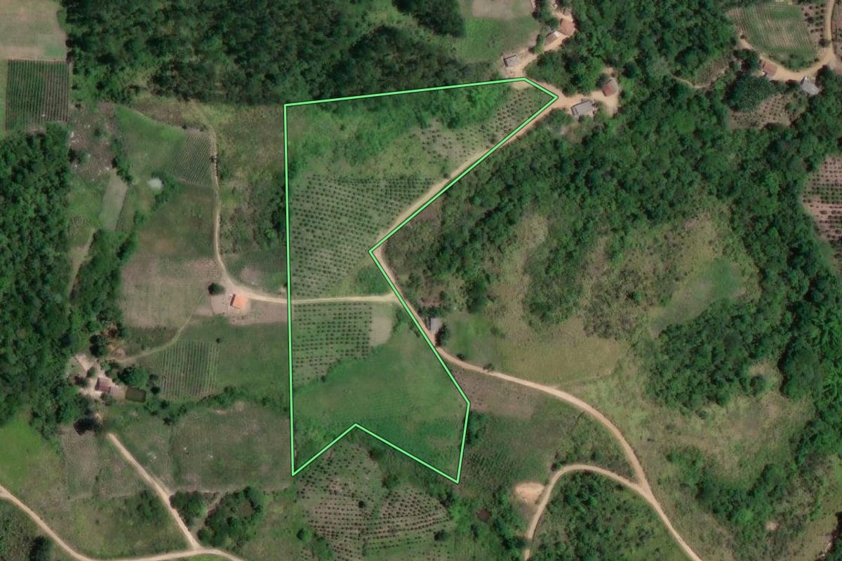 Imagem de satélite do imóvel rural em Doutor Ulysses (PR), com o contorno declarado no CAR desenhado por cima.