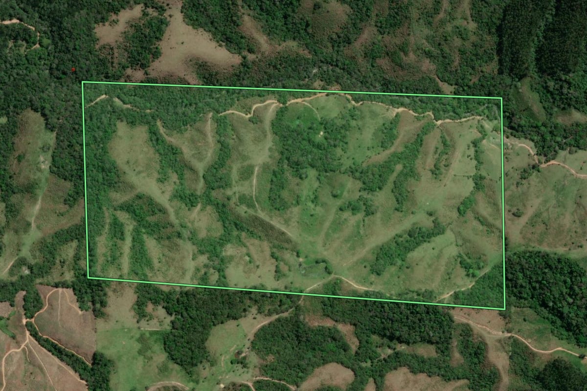 Imagem de satélite do imóvel rural em Doutor Ulysses (PR), com o contorno declarado no CAR desenhado por cima.
