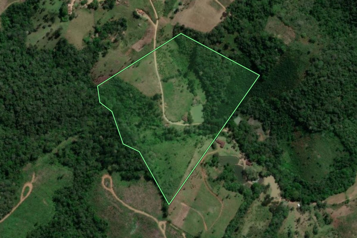 Imagem de satélite do imóvel rural em Doutor Ulysses (PR), com o contorno declarado no CAR desenhado por cima.