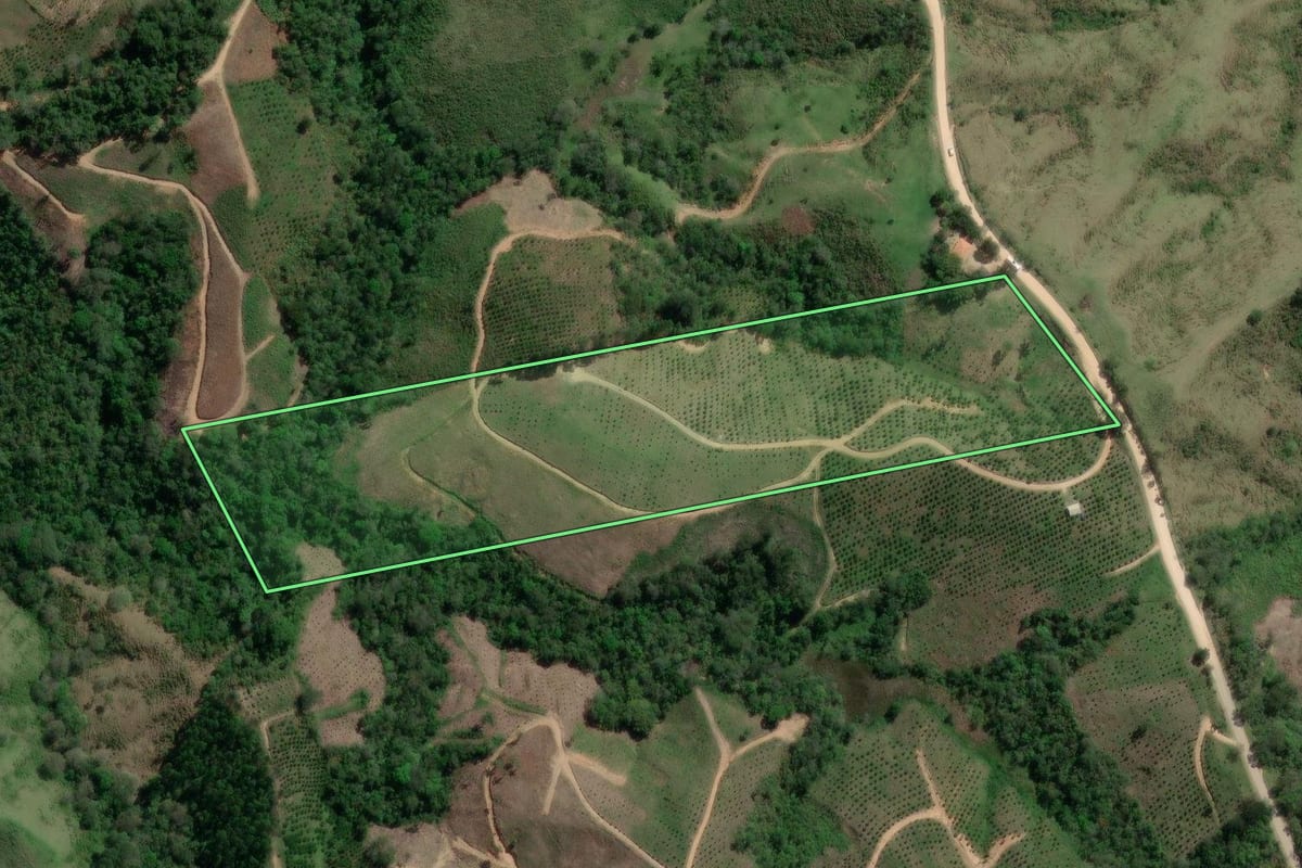 Imagem de satélite do imóvel rural em Doutor Ulysses (PR), com o contorno declarado no CAR desenhado por cima.
