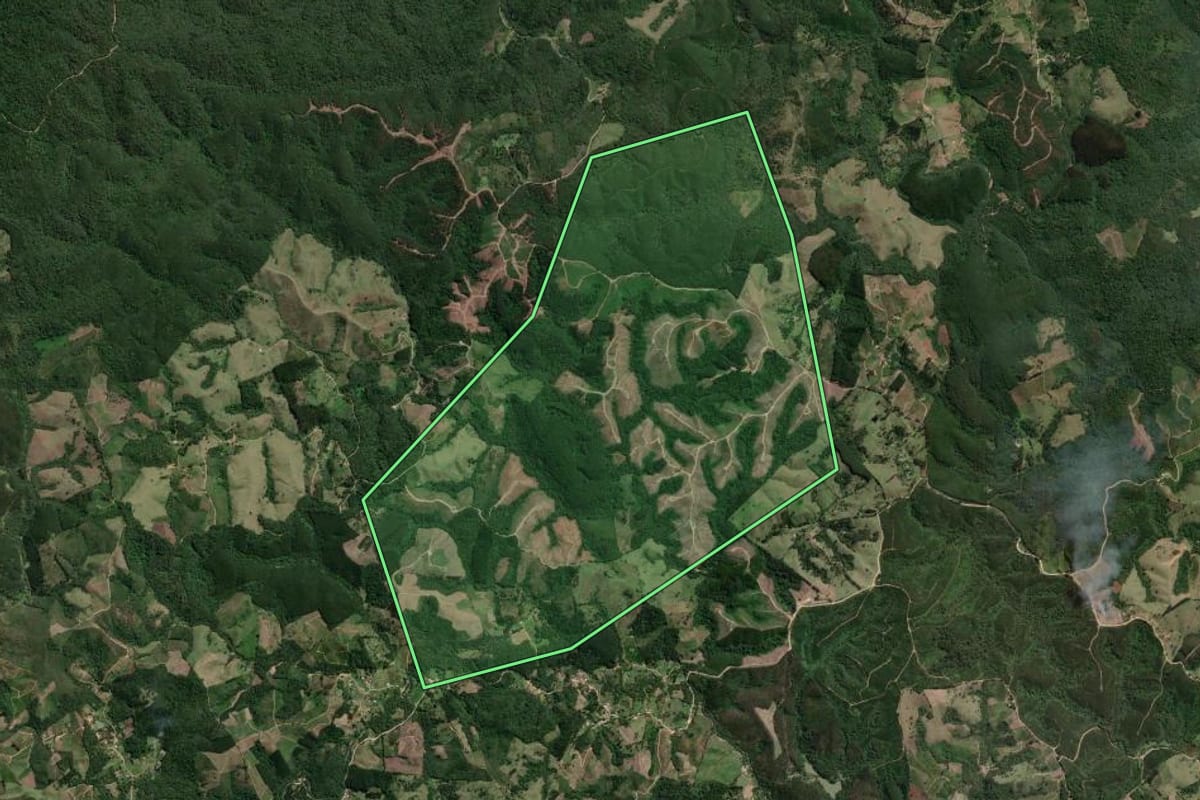 Imagem de satélite do imóvel rural em Doutor Ulysses (PR), com o contorno declarado no CAR desenhado por cima.
