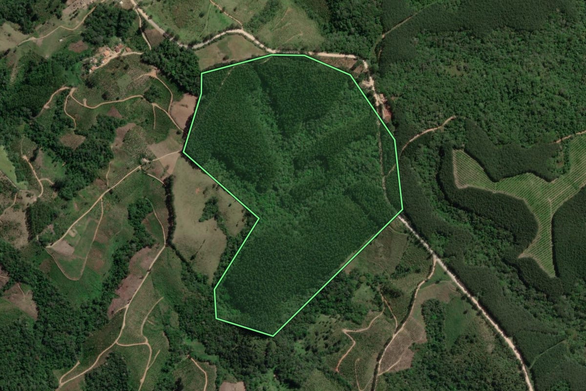 Imagem de satélite do imóvel rural em Doutor Ulysses (PR), com o contorno declarado no CAR desenhado por cima.