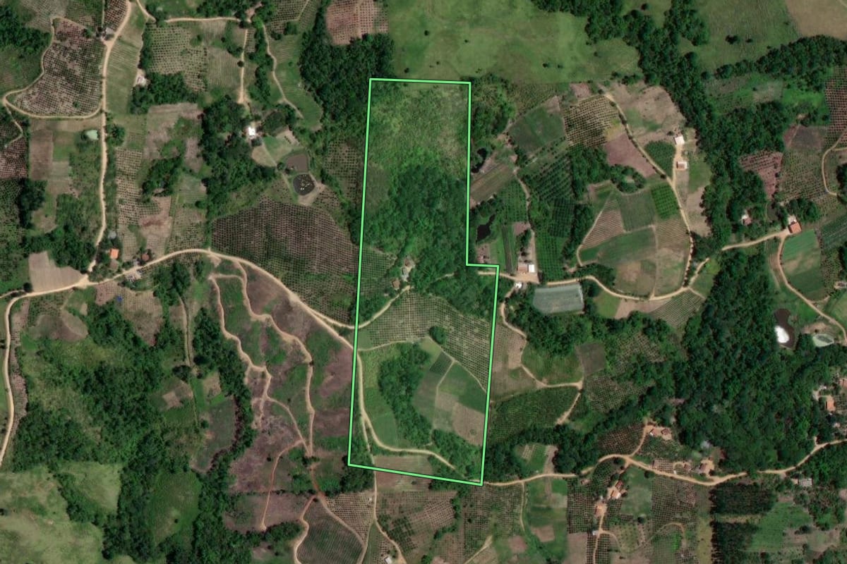 Imagem de satélite do imóvel rural em Doutor Ulysses (PR), com o contorno declarado no CAR desenhado por cima.