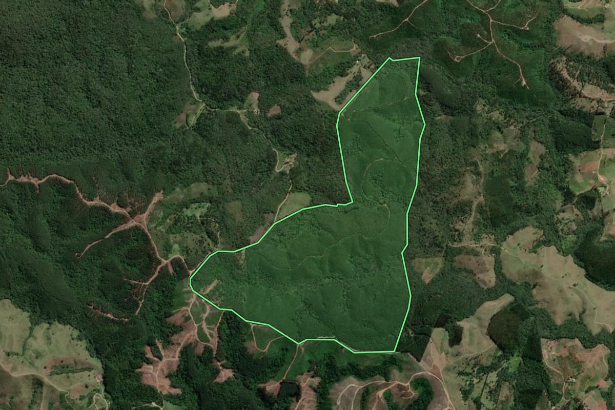 Imagem de satélite do imóvel rural em Doutor Ulysses (PR), com o contorno declarado no CAR desenhado por cima.