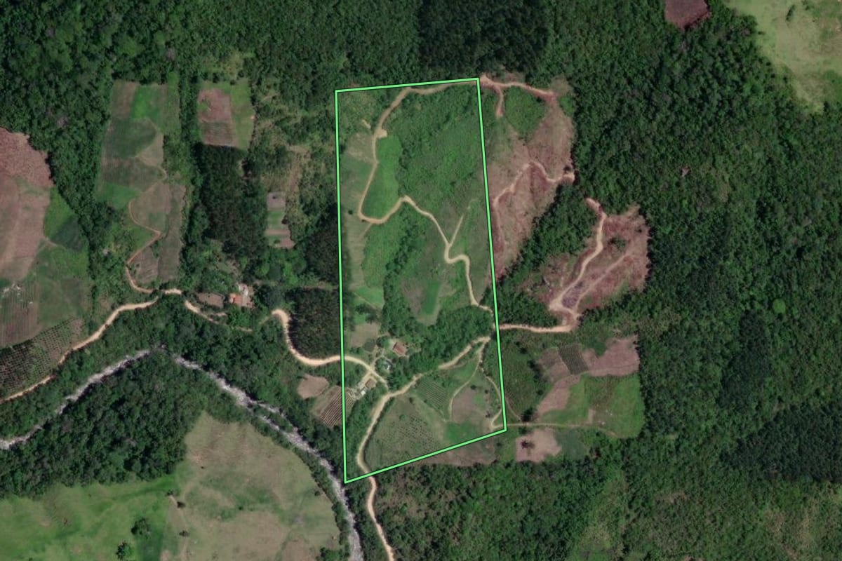 Imagem de satélite do imóvel rural em Doutor Ulysses (PR), com o contorno declarado no CAR desenhado por cima.