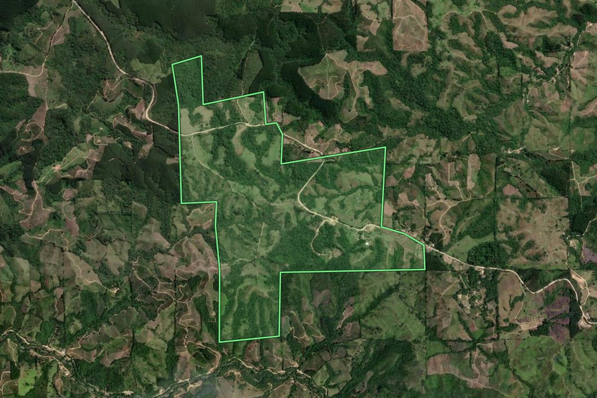 Imagem de satélite do imóvel rural em Doutor Ulysses (PR), com o contorno declarado no CAR desenhado por cima.