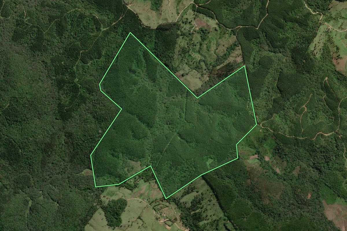 Imagem de satélite do imóvel rural em Doutor Ulysses (PR), com o contorno declarado no CAR desenhado por cima.