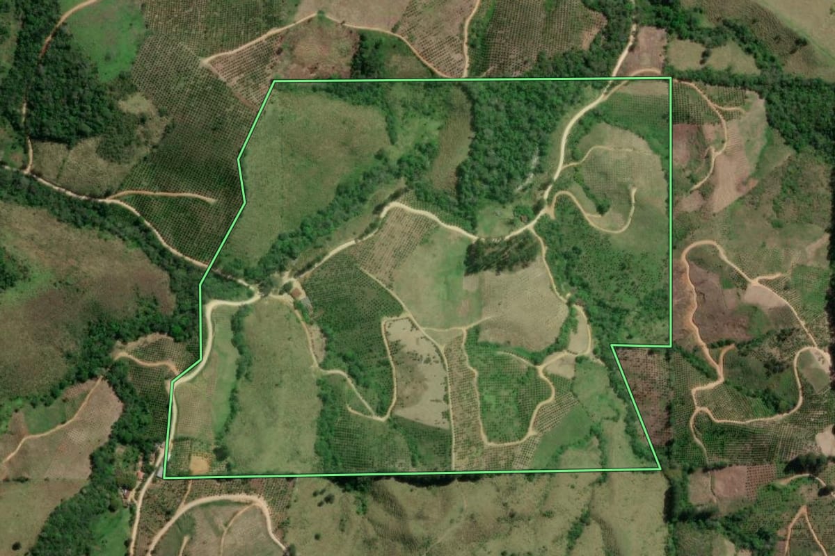 Imagem de satélite do imóvel rural em Doutor Ulysses (PR), com o contorno declarado no CAR desenhado por cima.