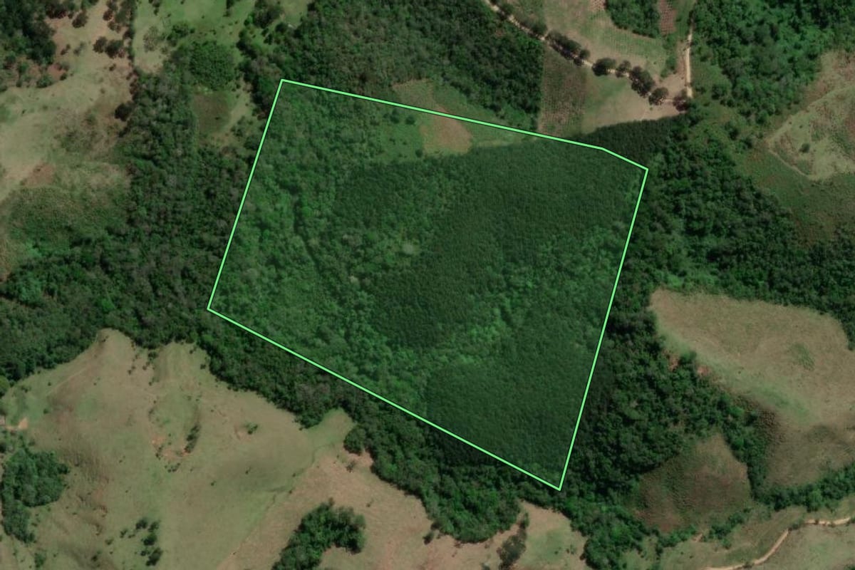 Imagem de satélite do imóvel rural em Doutor Ulysses (PR), com o contorno declarado no CAR desenhado por cima.
