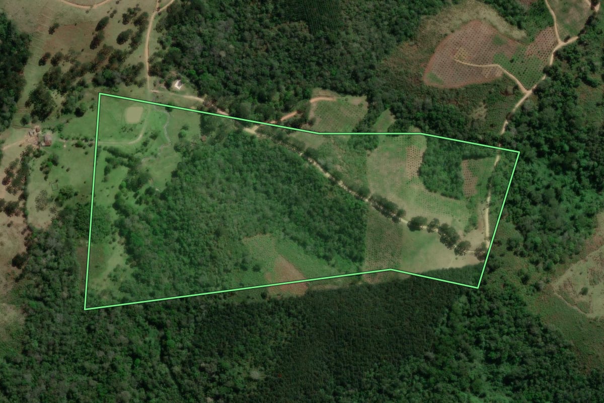 Imagem de satélite do imóvel rural em Doutor Ulysses (PR), com o contorno declarado no CAR desenhado por cima.
