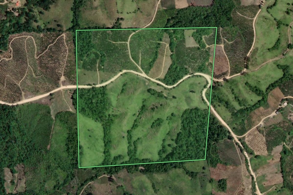 Imagem de satélite do imóvel rural em Doutor Ulysses (PR), com o contorno declarado no CAR desenhado por cima.
