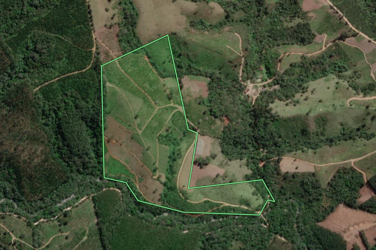 Imagem de satélite do imóvel rural em Doutor Ulysses (PR), com o contorno declarado no CAR desenhado por cima.