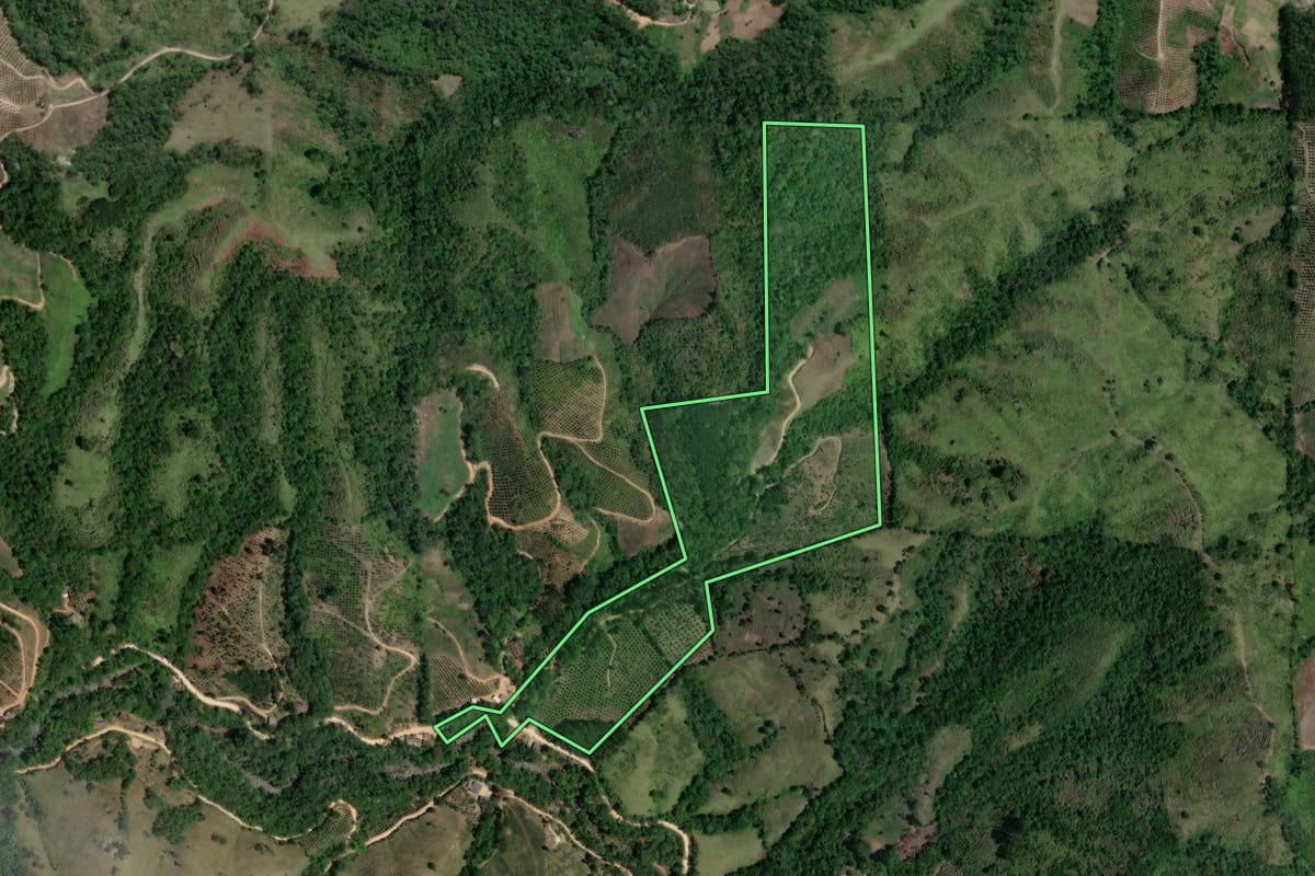 Imagem de satélite do imóvel rural em Doutor Ulysses (PR), com o contorno declarado no CAR desenhado por cima.