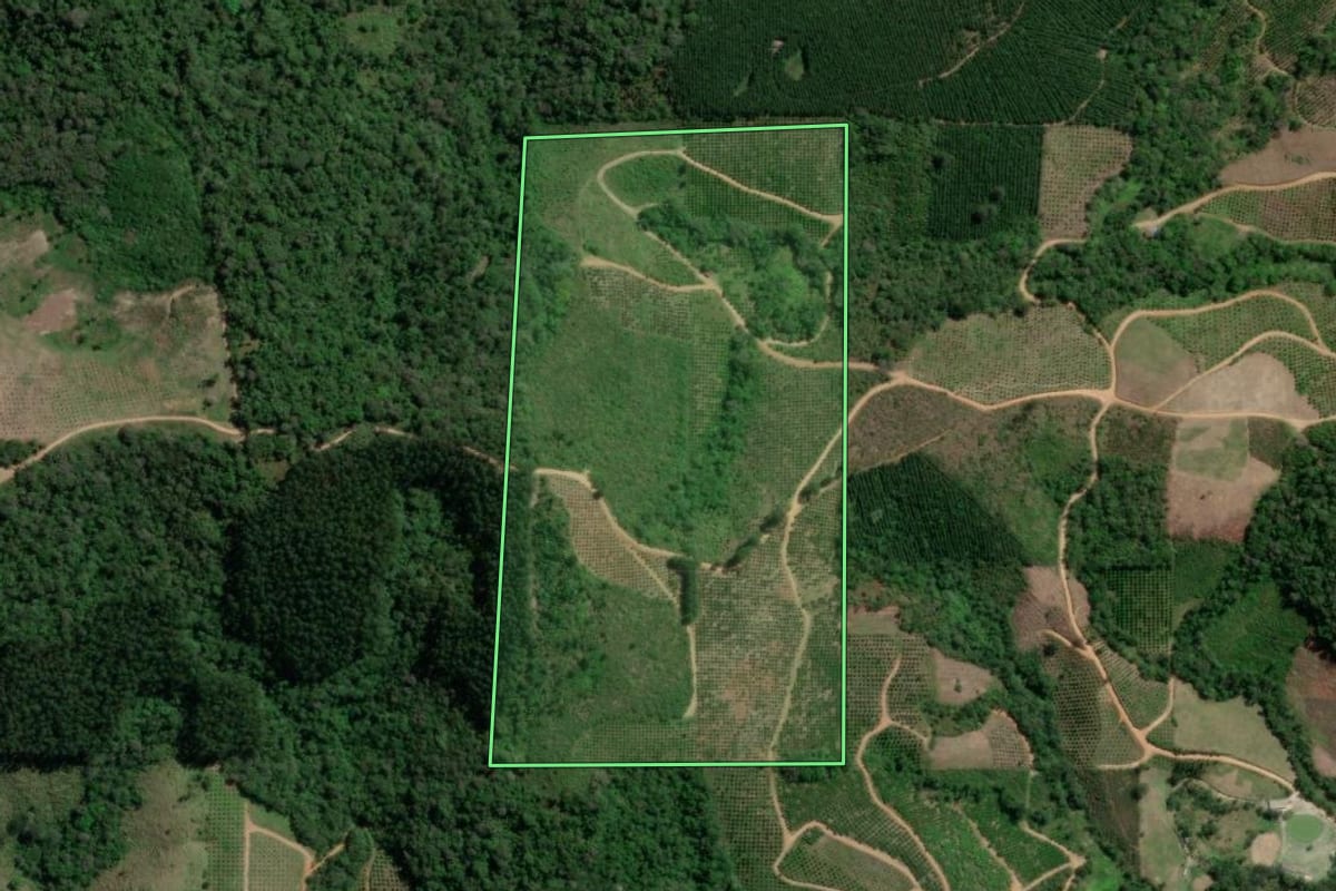 Imagem de satélite do imóvel rural em Doutor Ulysses (PR), com o contorno declarado no CAR desenhado por cima.