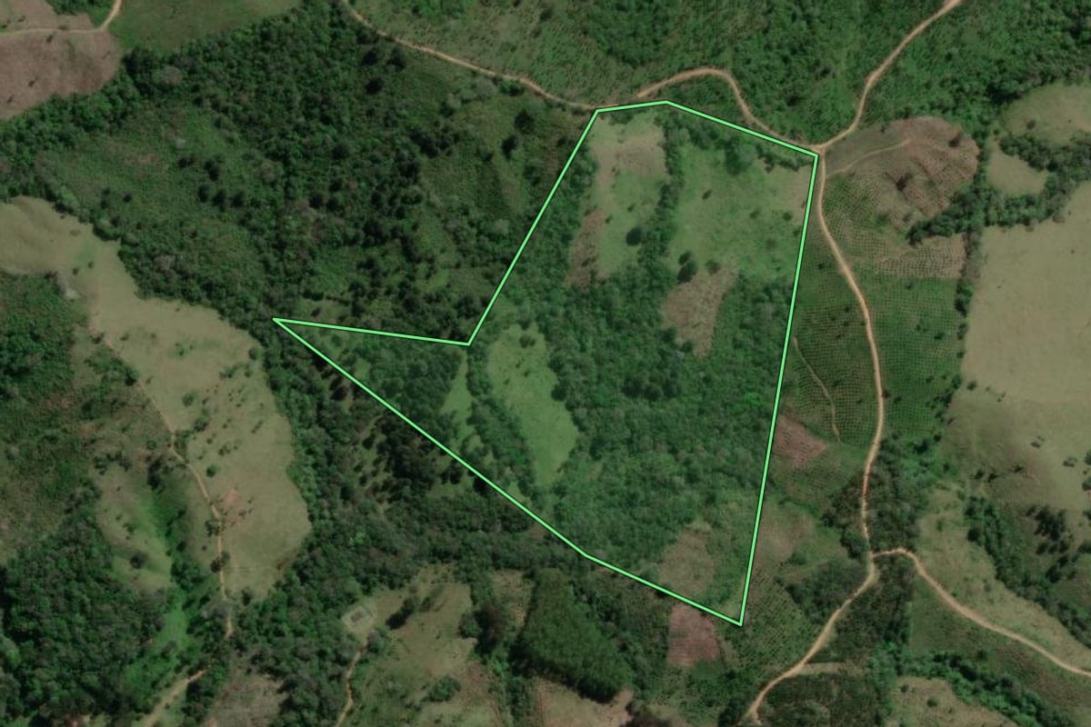 Imagem de satélite do imóvel rural em Doutor Ulysses (PR), com o contorno declarado no CAR desenhado por cima.