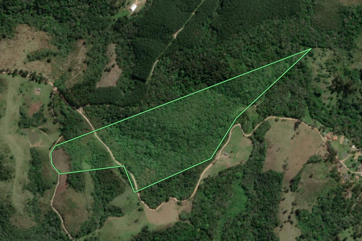 Imagem de satélite do imóvel rural em Doutor Ulysses (PR), com o contorno declarado no CAR desenhado por cima.