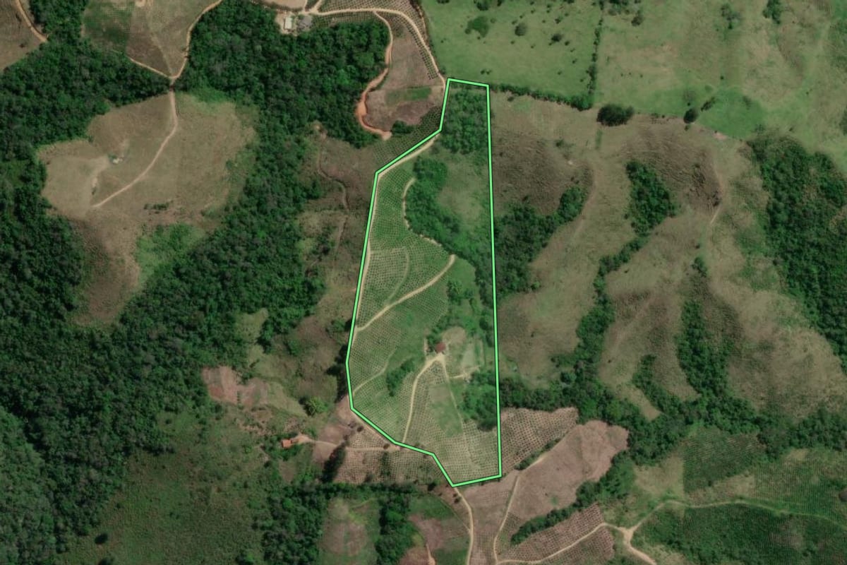 Imagem de satélite do imóvel rural em Doutor Ulysses (PR), com o contorno declarado no CAR desenhado por cima.