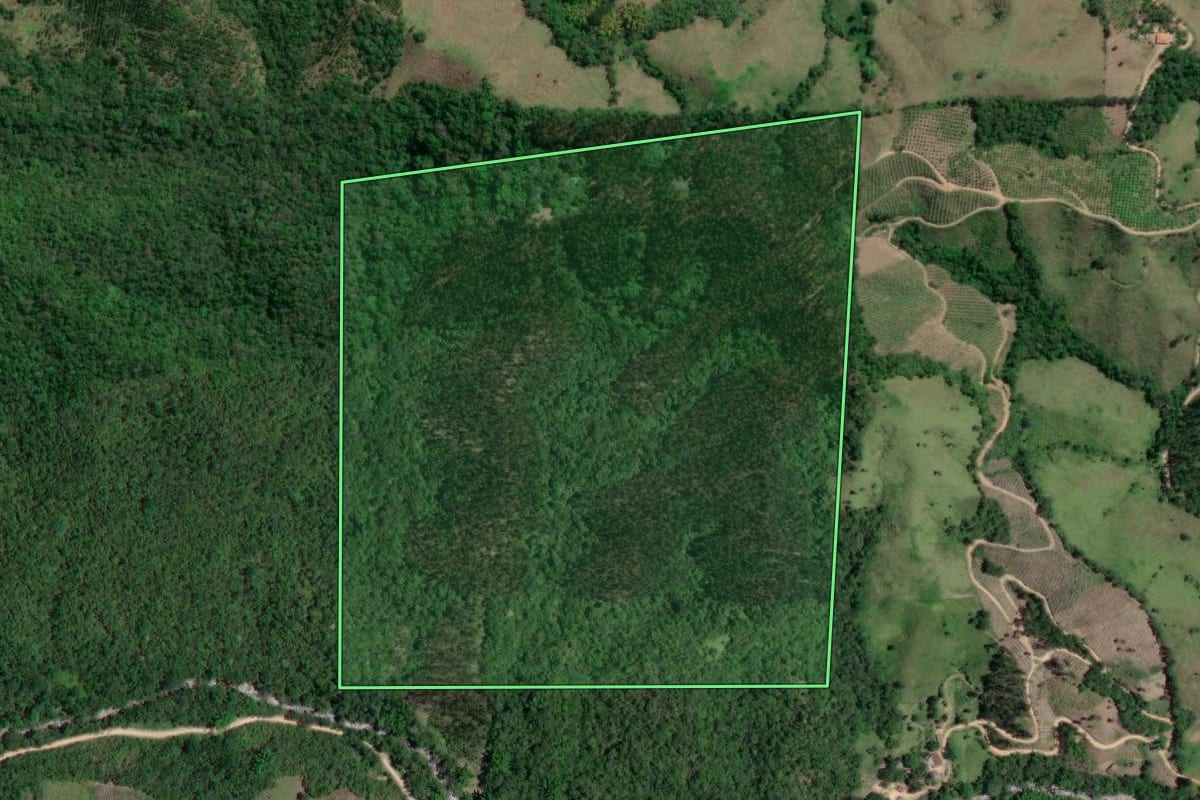 Imagem de satélite do imóvel rural em Doutor Ulysses (PR), com o contorno declarado no CAR desenhado por cima.