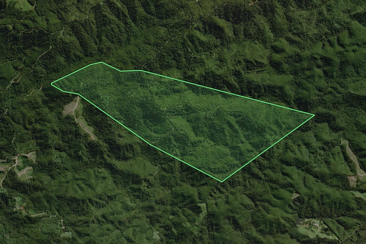 Imagem de satélite do imóvel rural em Doutor Ulysses (PR), com o contorno declarado no CAR desenhado por cima.