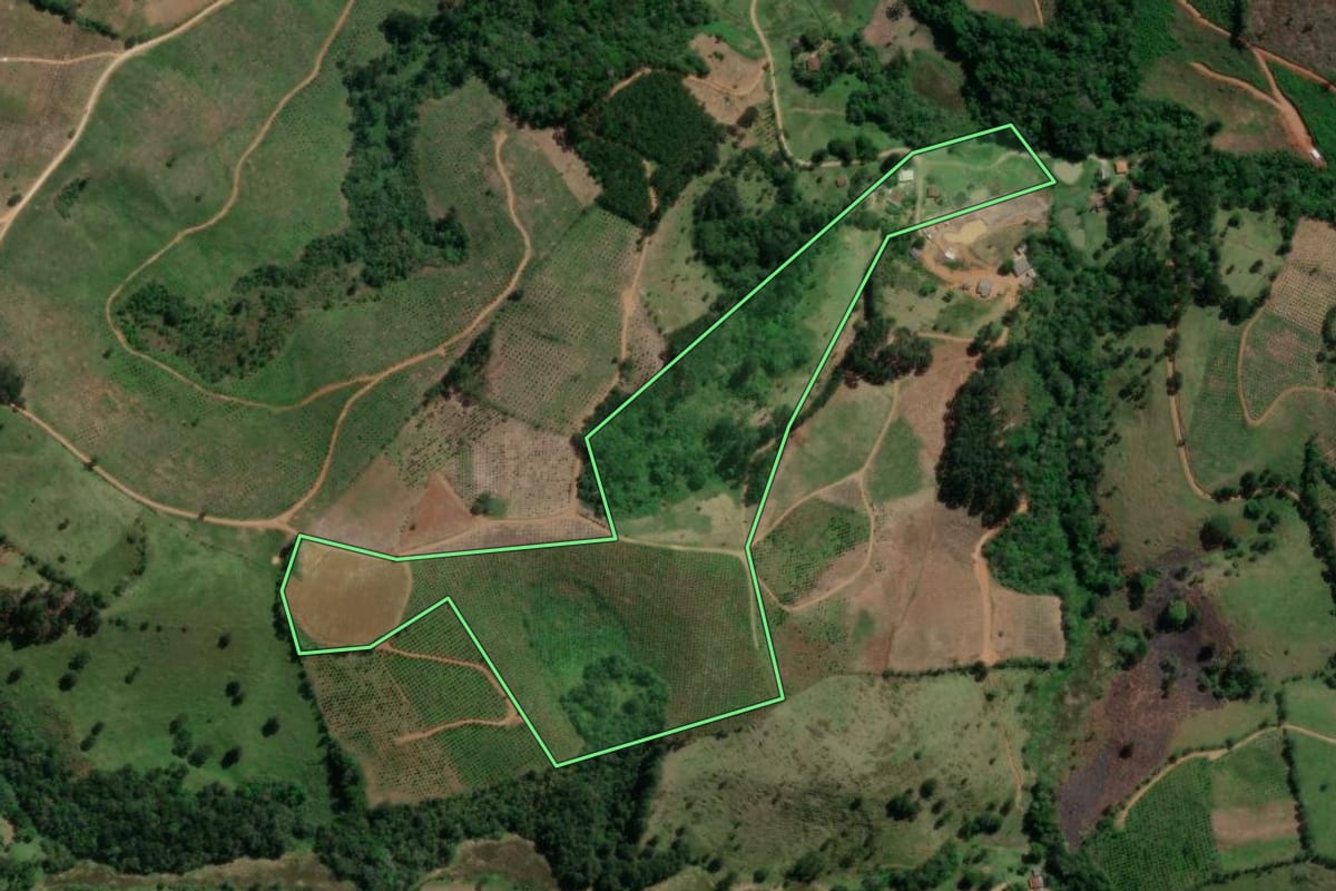 Imagem de satélite do imóvel rural em Doutor Ulysses (PR), com o contorno declarado no CAR desenhado por cima.
