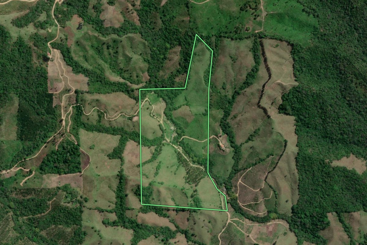 Imagem de satélite do imóvel rural em Doutor Ulysses (PR), com o contorno declarado no CAR desenhado por cima.