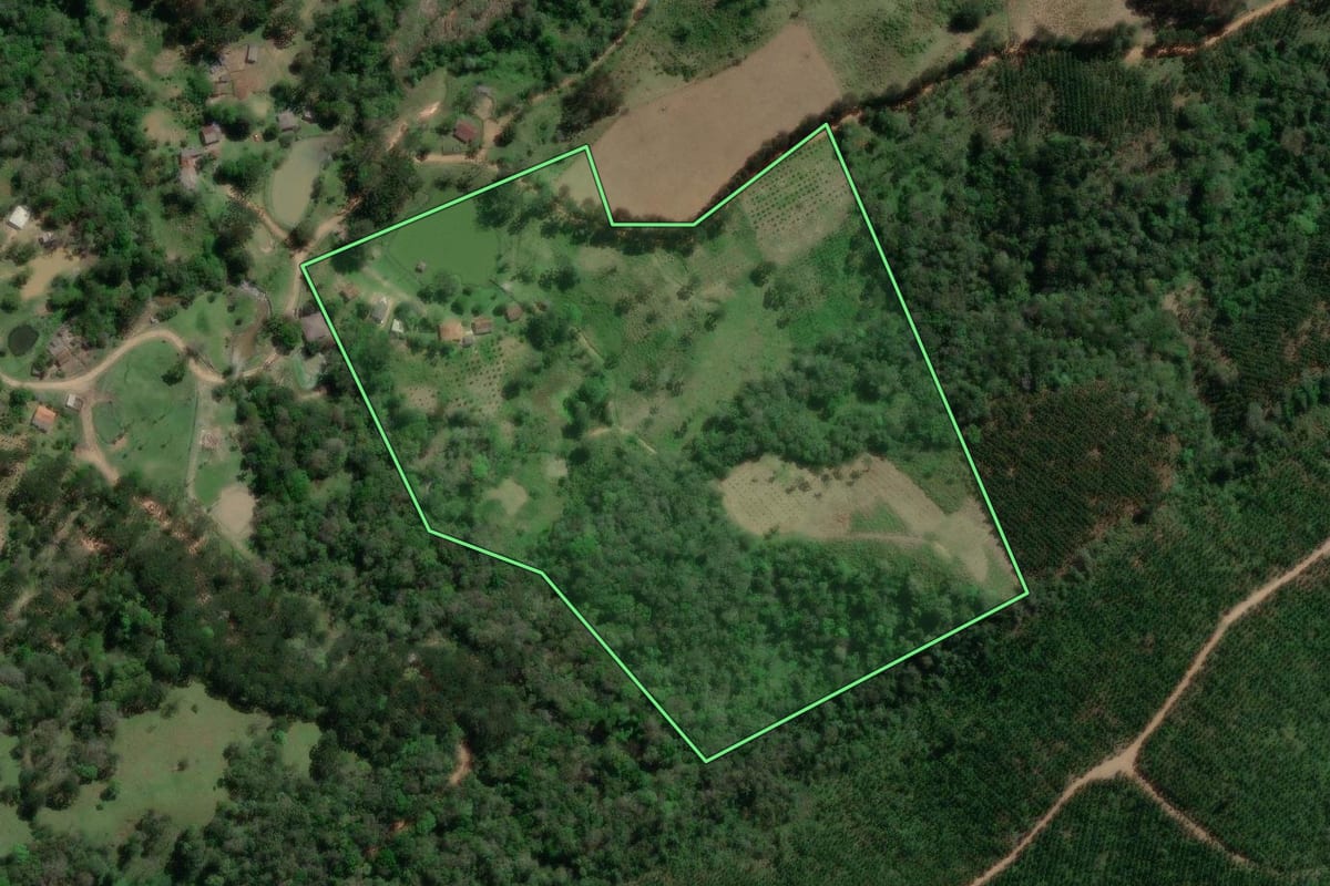 Imagem de satélite do imóvel rural em Doutor Ulysses (PR), com o contorno declarado no CAR desenhado por cima.