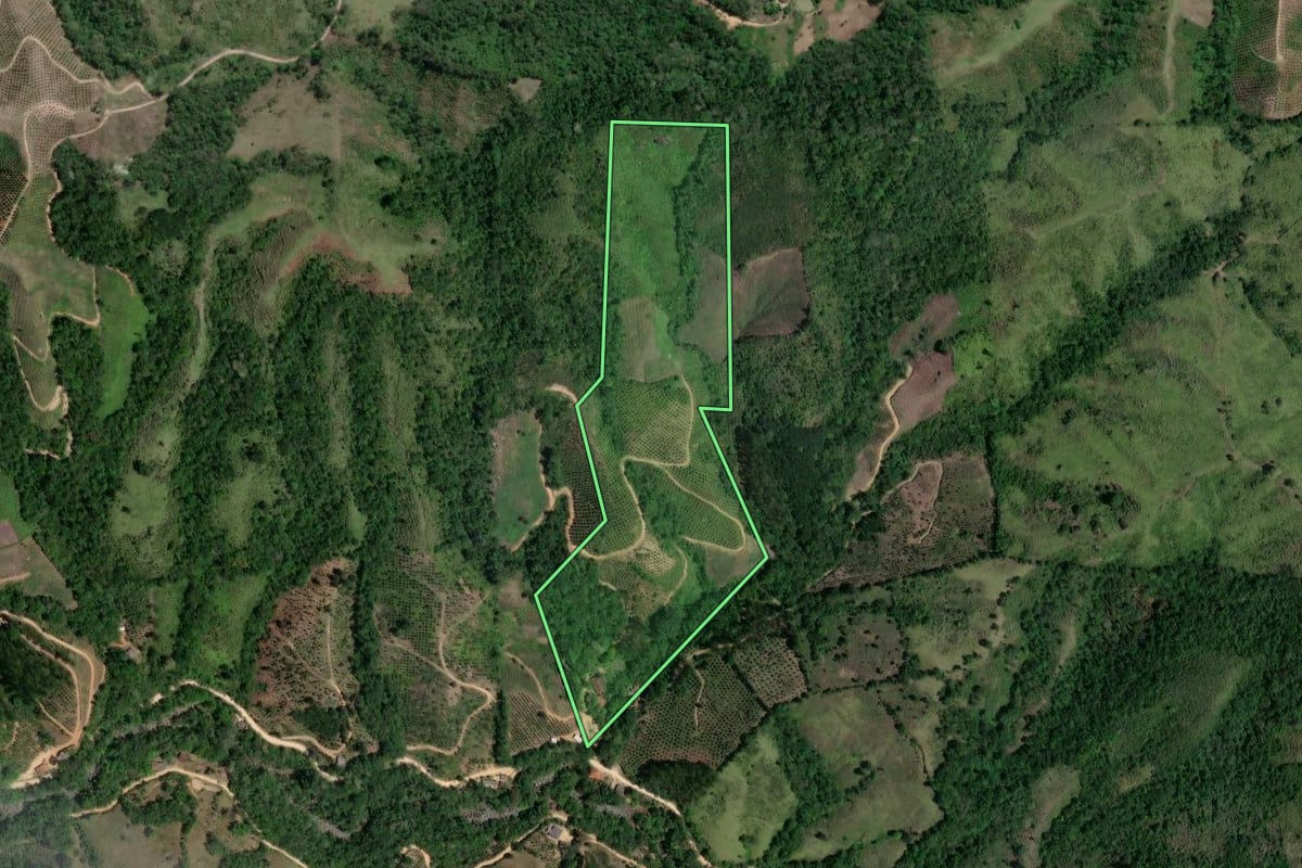 Imagem de satélite do imóvel rural em Doutor Ulysses (PR), com o contorno declarado no CAR desenhado por cima.