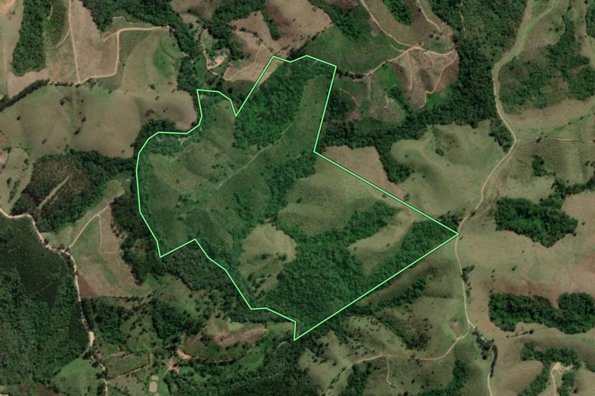 Imagem de satélite do imóvel rural em Doutor Ulysses (PR), com o contorno declarado no CAR desenhado por cima.