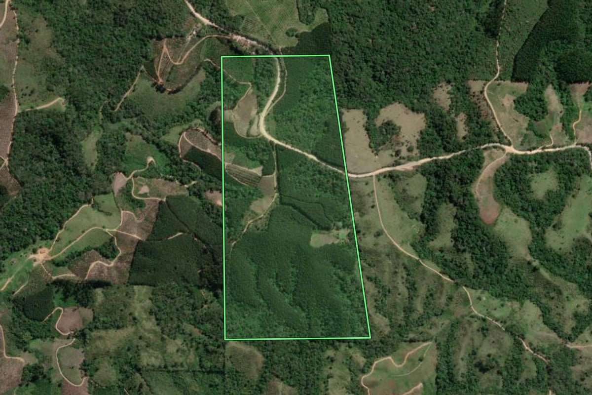 Imagem de satélite do imóvel rural em Doutor Ulysses (PR), com o contorno declarado no CAR desenhado por cima.