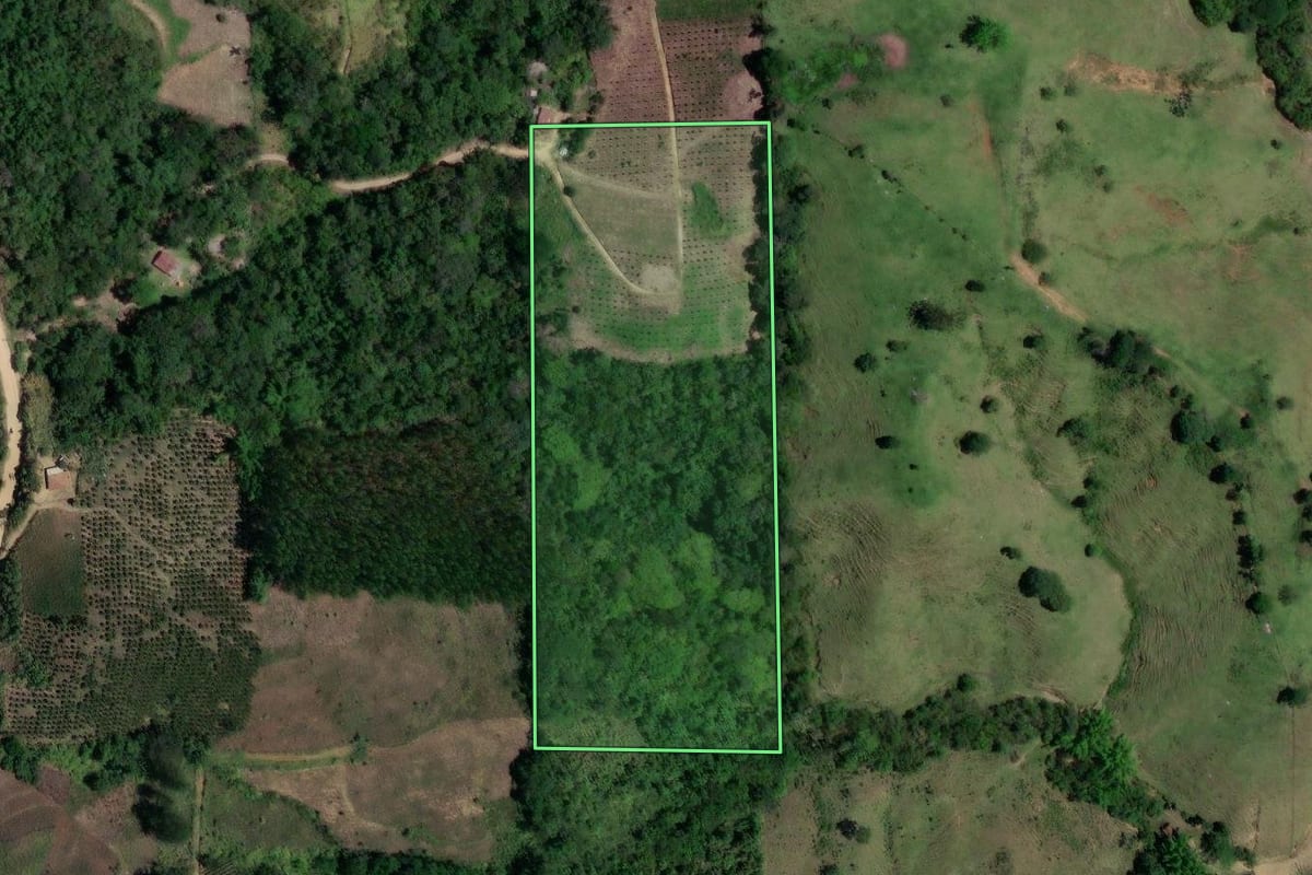 Imagem de satélite do imóvel rural em Doutor Ulysses (PR), com o contorno declarado no CAR desenhado por cima.
