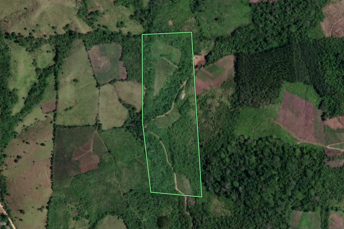 Imagem de satélite do imóvel rural em Doutor Ulysses (PR), com o contorno declarado no CAR desenhado por cima.
