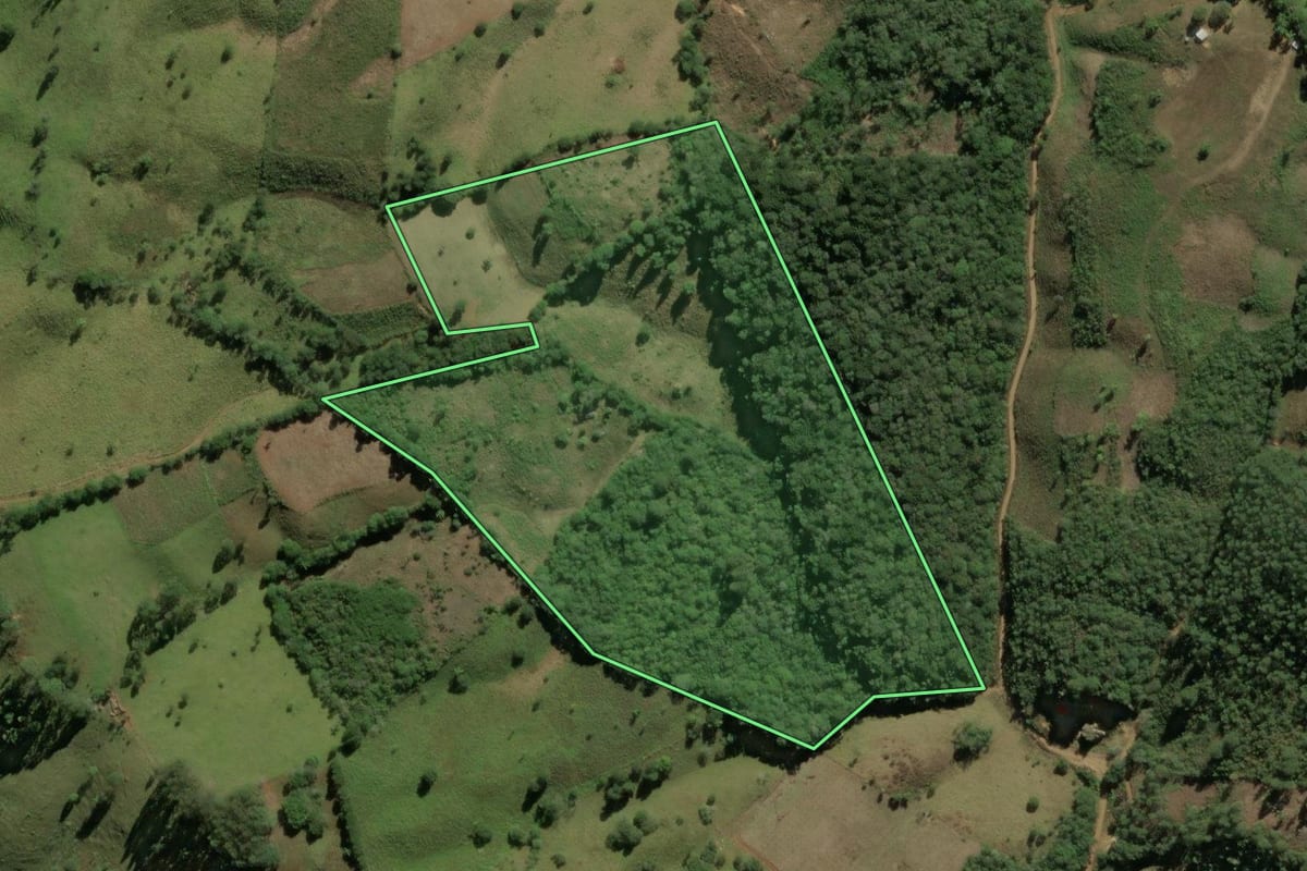 Imagem de satélite do imóvel rural em Doutor Ulysses (PR), com o contorno declarado no CAR desenhado por cima.