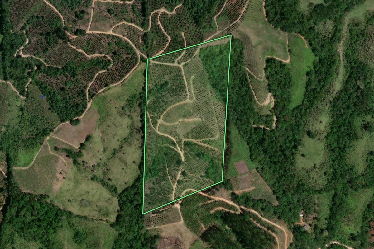 Imagem de satélite do imóvel rural em Doutor Ulysses (PR), com o contorno declarado no CAR desenhado por cima.