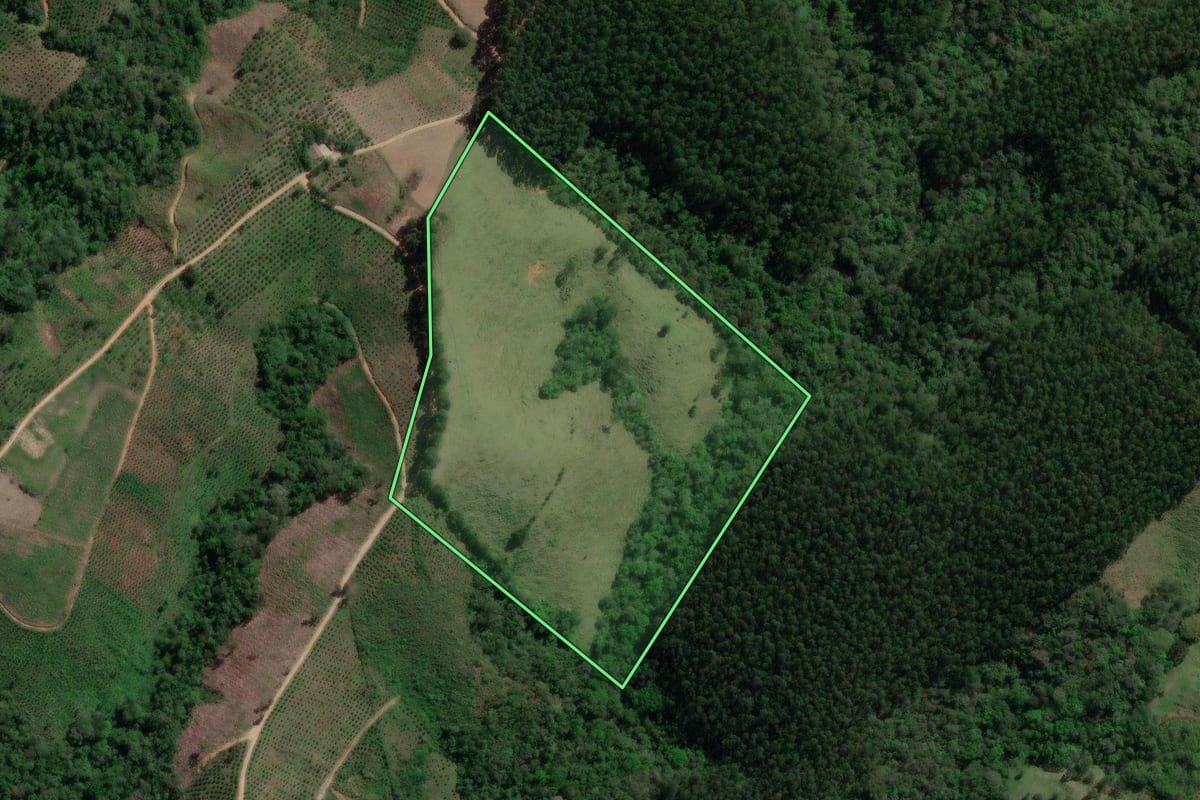 Imagem de satélite do imóvel rural em Doutor Ulysses (PR), com o contorno declarado no CAR desenhado por cima.