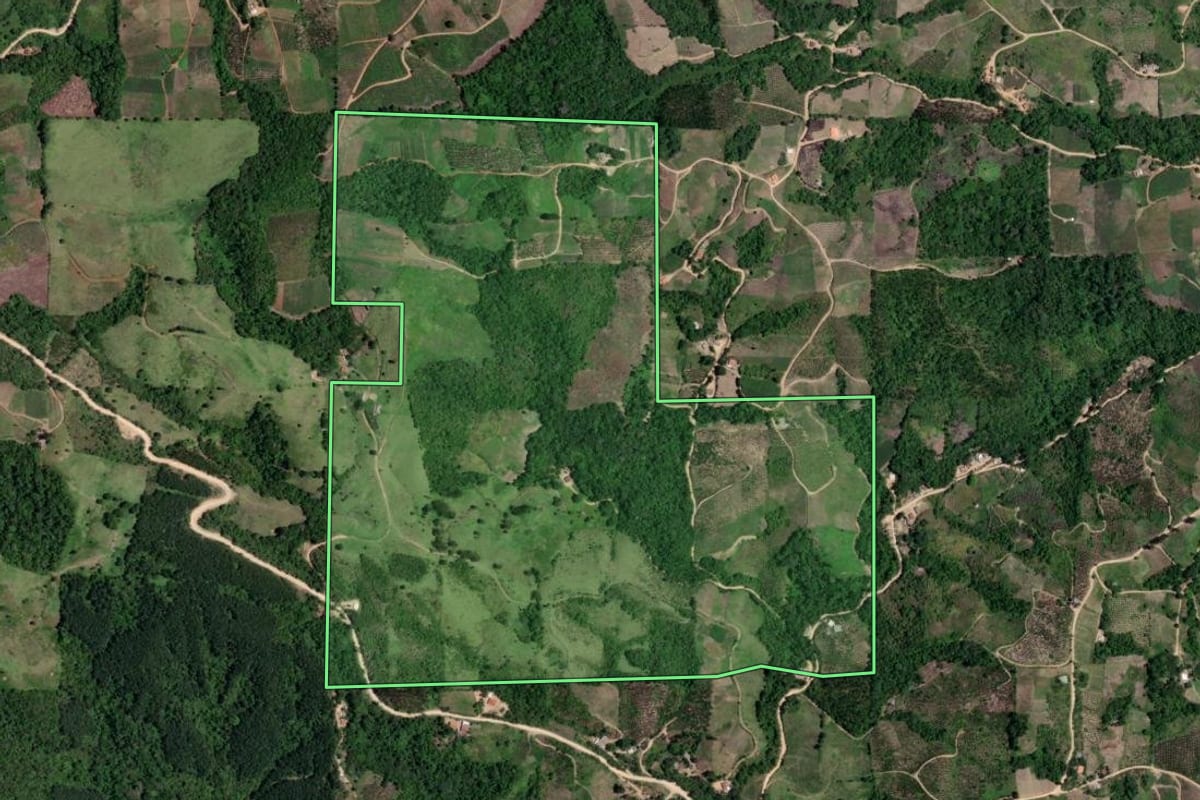 Imagem de satélite do imóvel rural em Doutor Ulysses (PR), com o contorno declarado no CAR desenhado por cima.