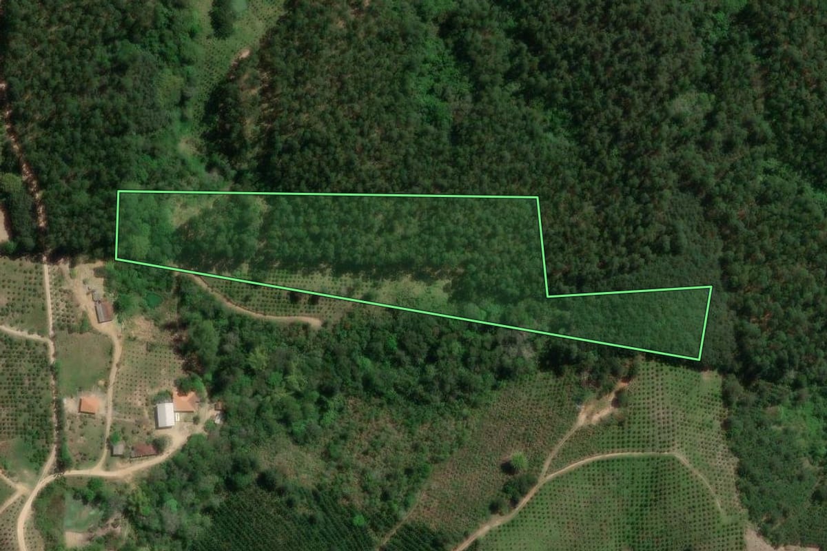 Imagem de satélite do imóvel rural em Doutor Ulysses (PR), com o contorno declarado no CAR desenhado por cima.