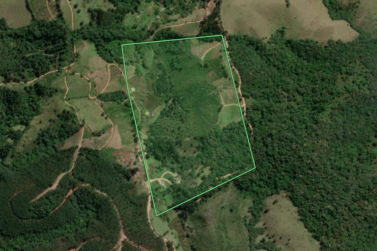 Imagem de satélite do imóvel rural em Doutor Ulysses (PR), com o contorno declarado no CAR desenhado por cima.